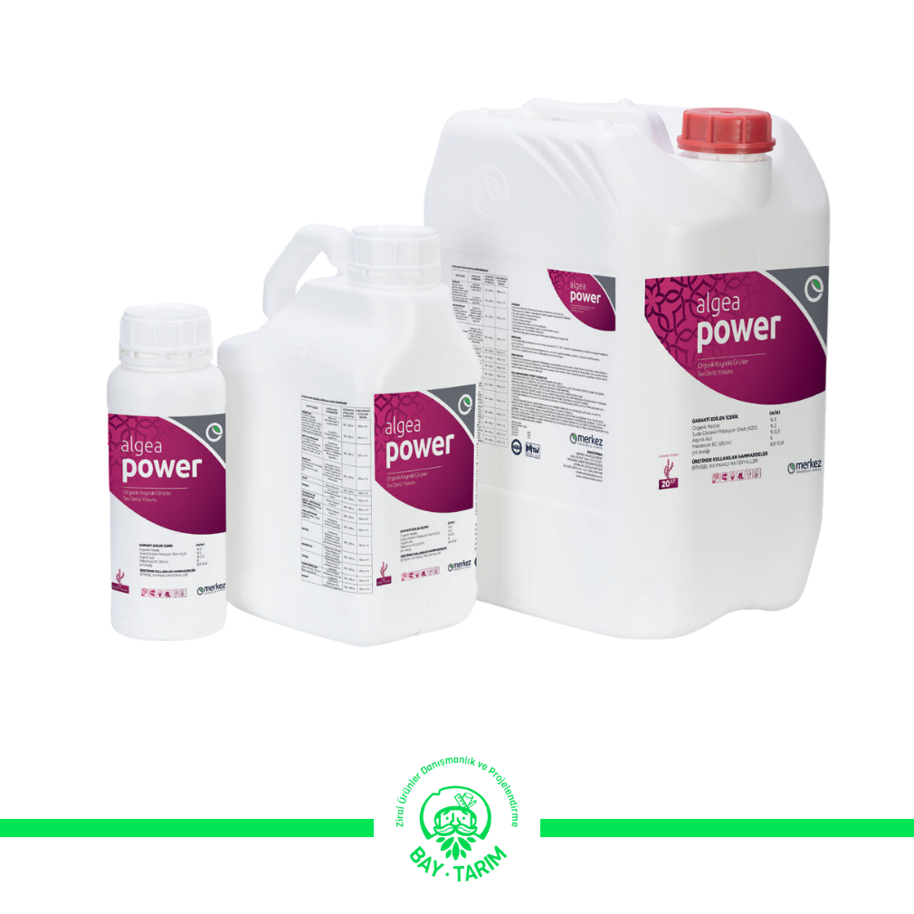 ALGEA POWER DENİZ YOSUNU 1 LT