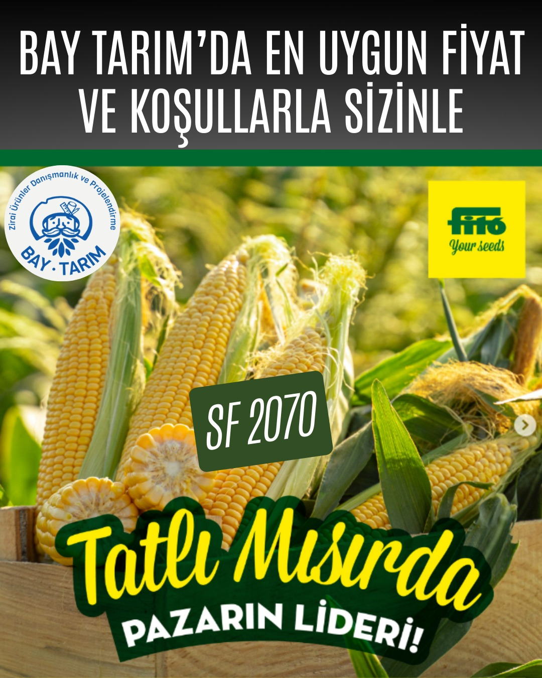 FİTO SF 2070