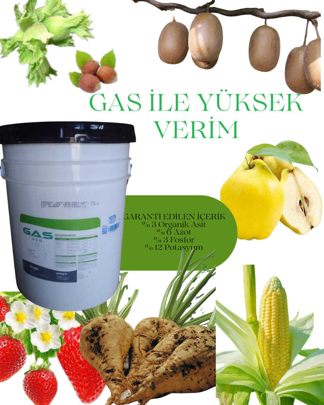GAS