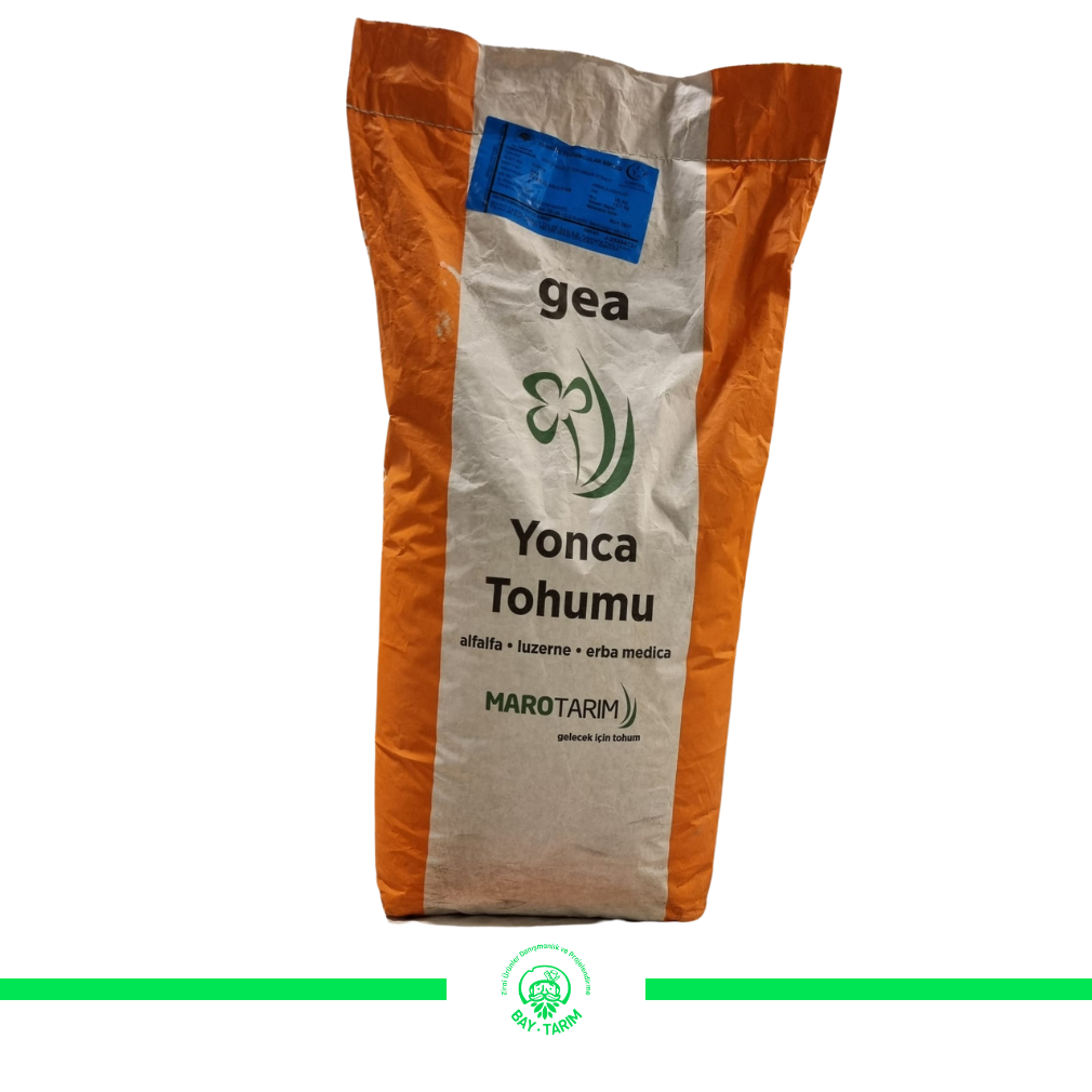 GEA YONCA TOHUMU(KAPSIZ) 10 KG