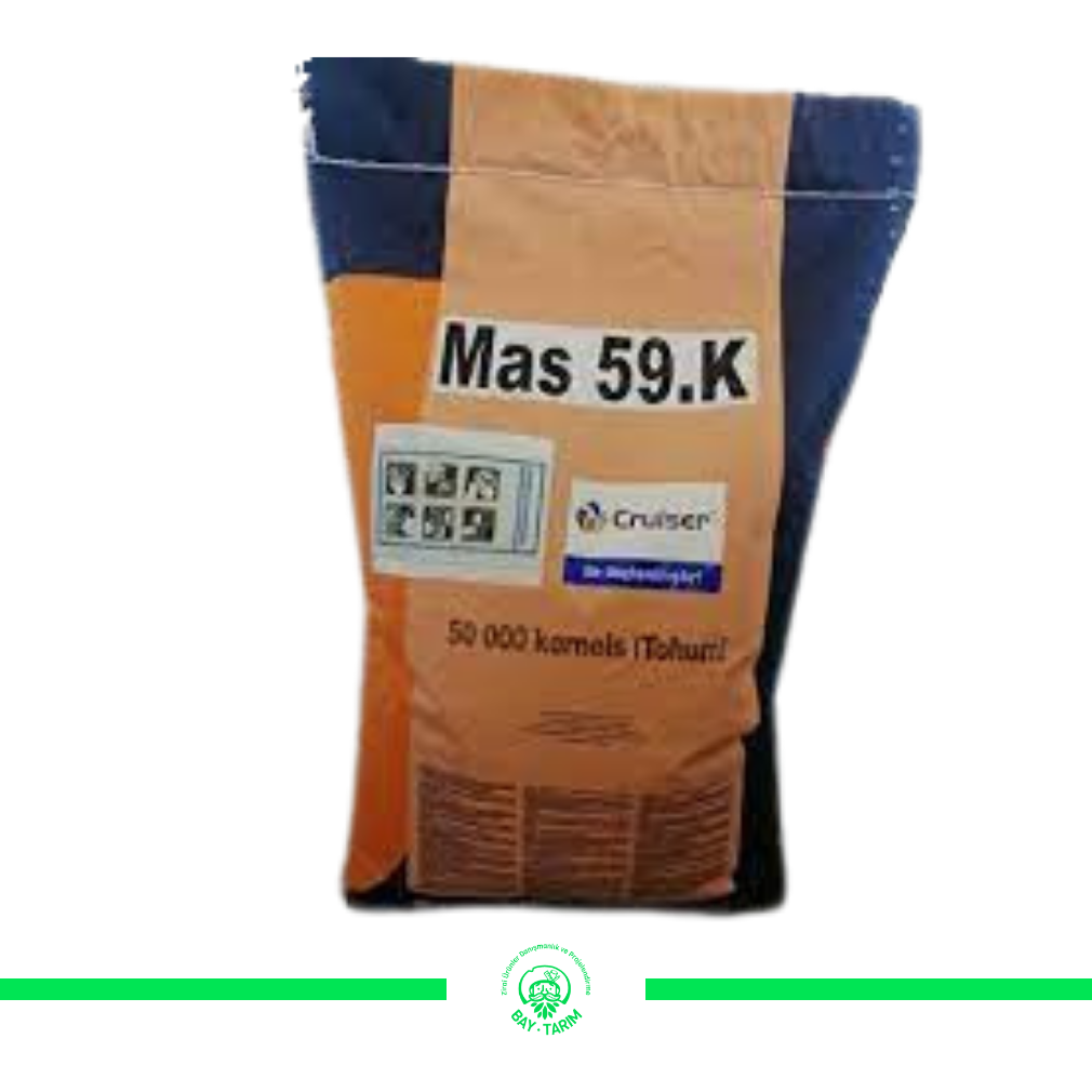MAS 59 MISIR TOHUMU