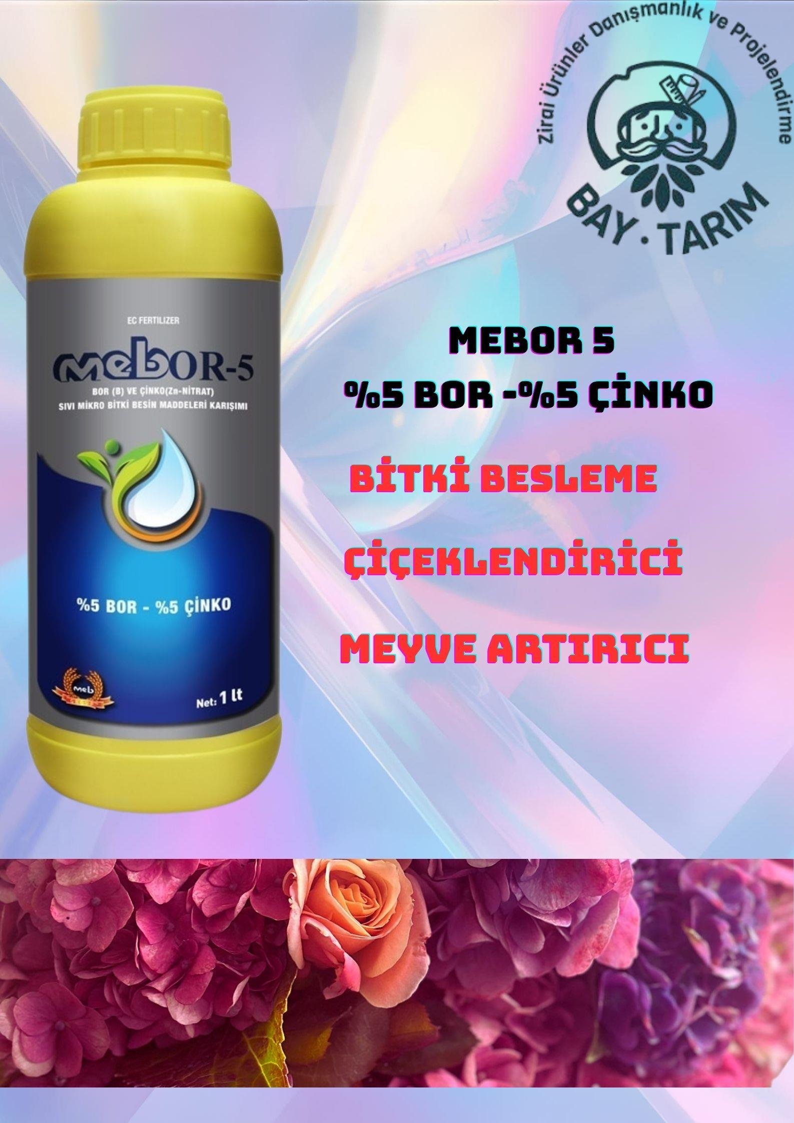 MEBOR 5 