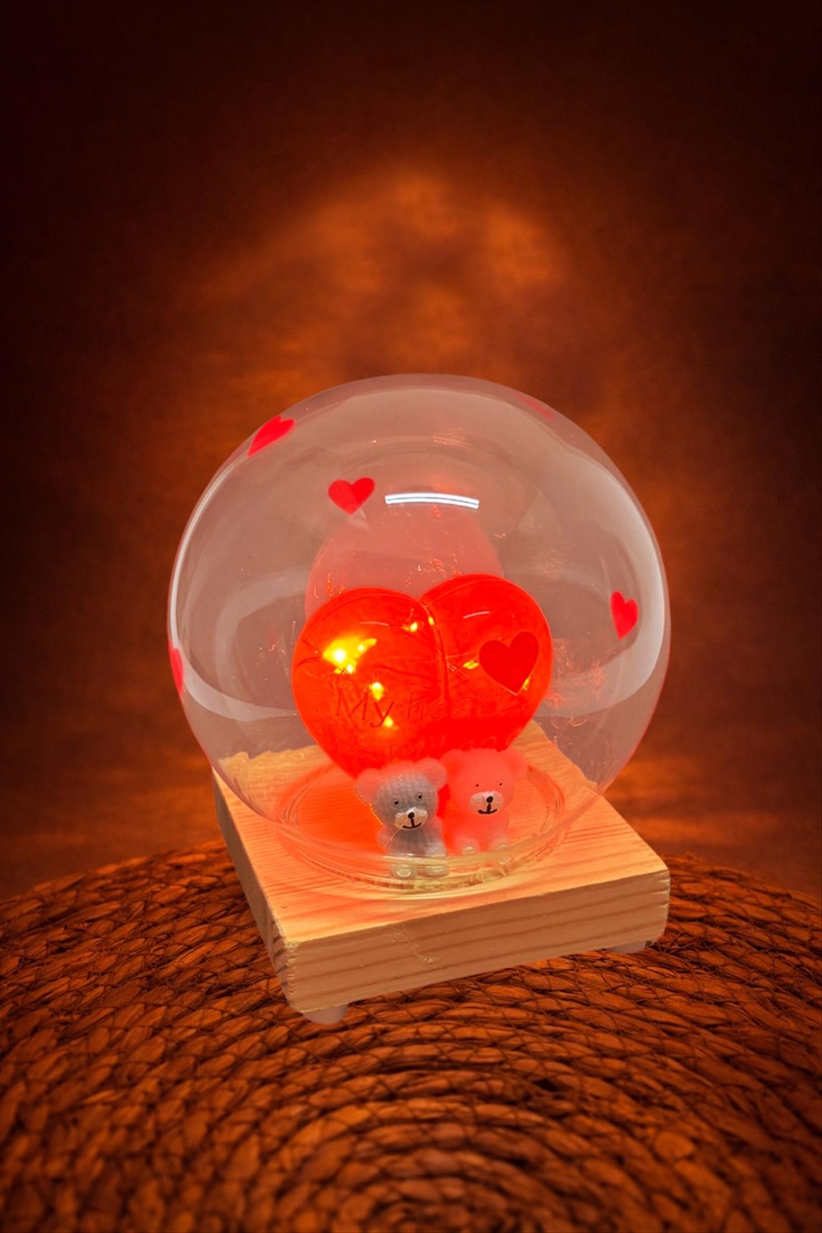 Ayıcık Çift Işıklı Teraryum