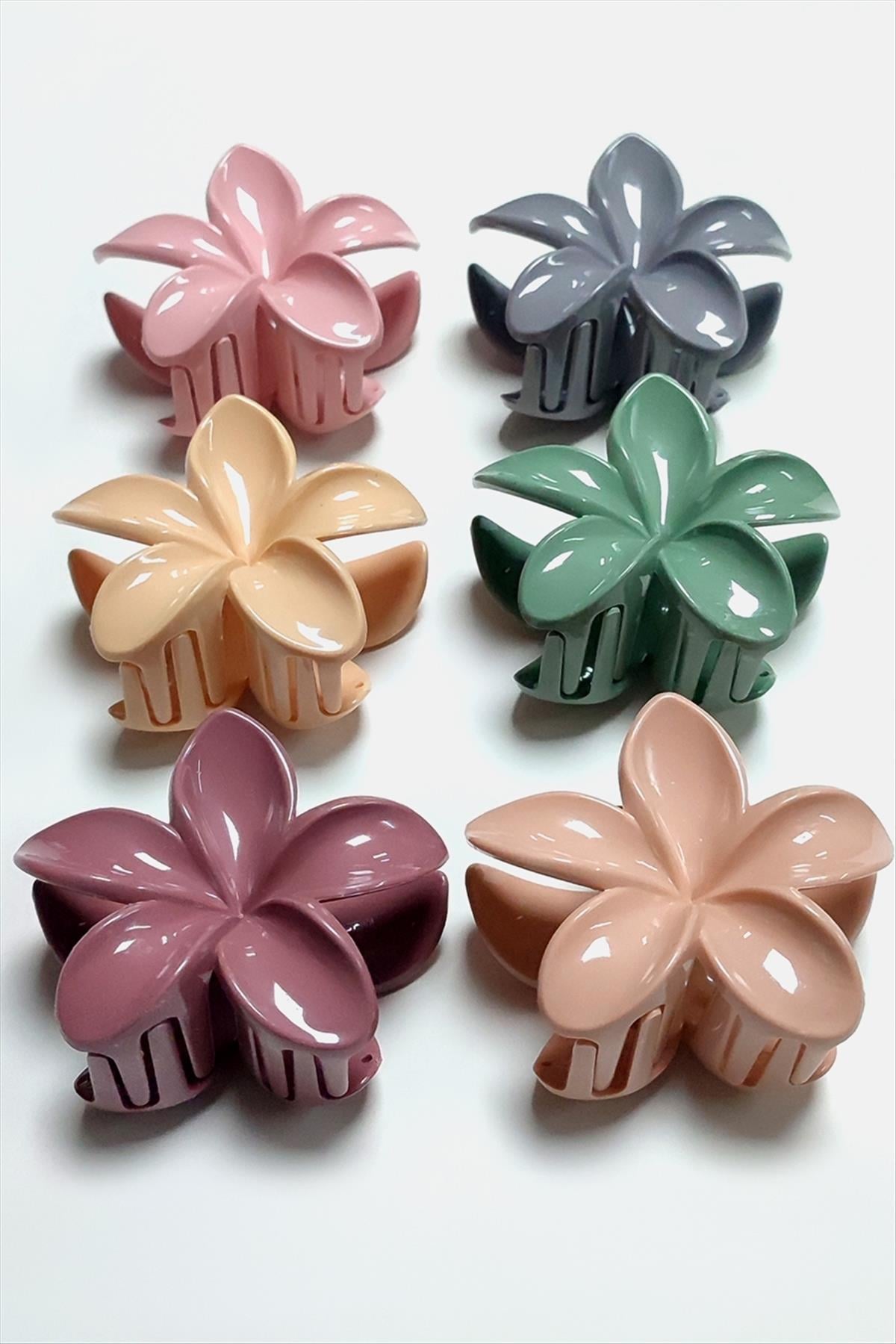  8 cm Lotus Toka