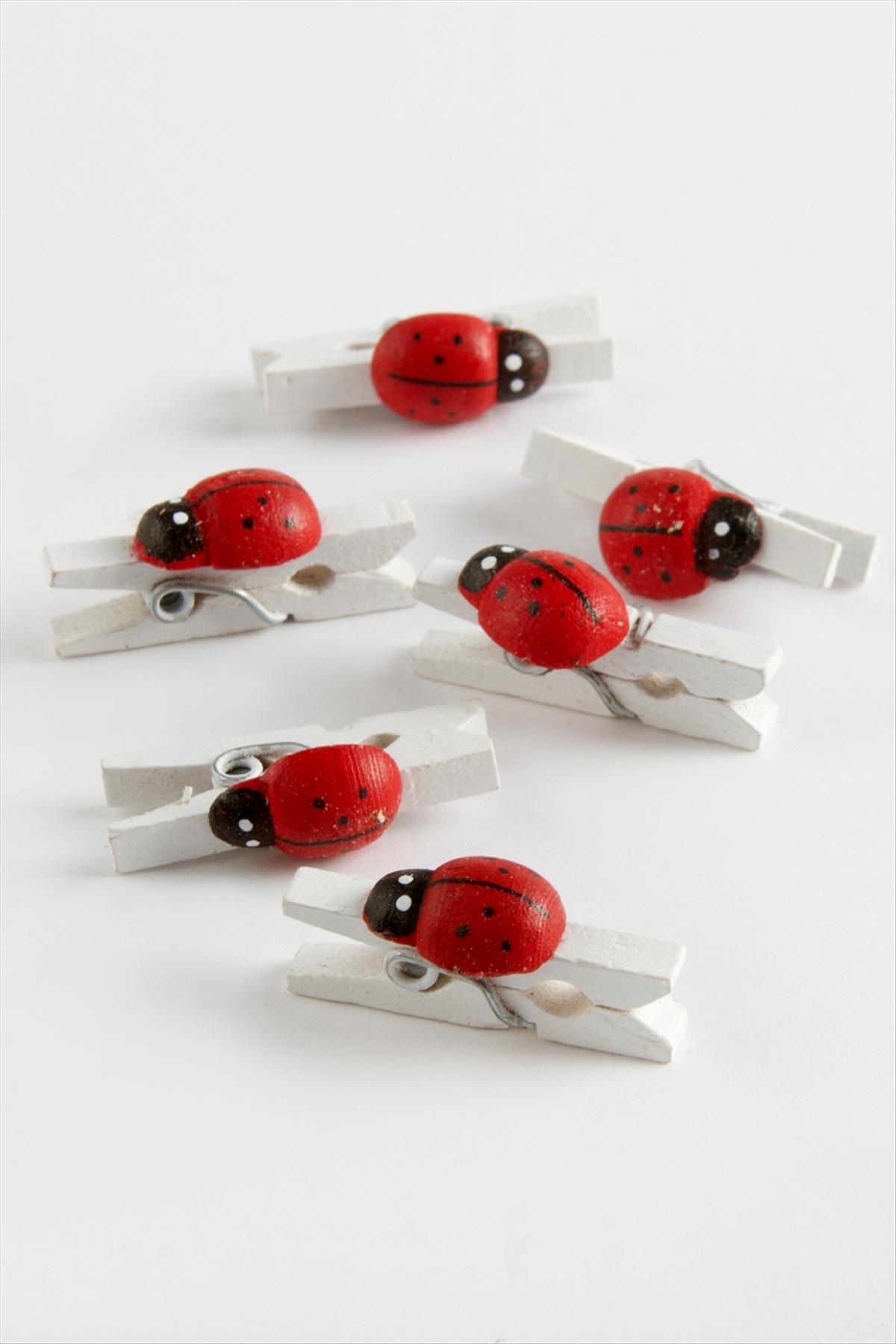 1 Adet Uğur Böceği Süs Mandal