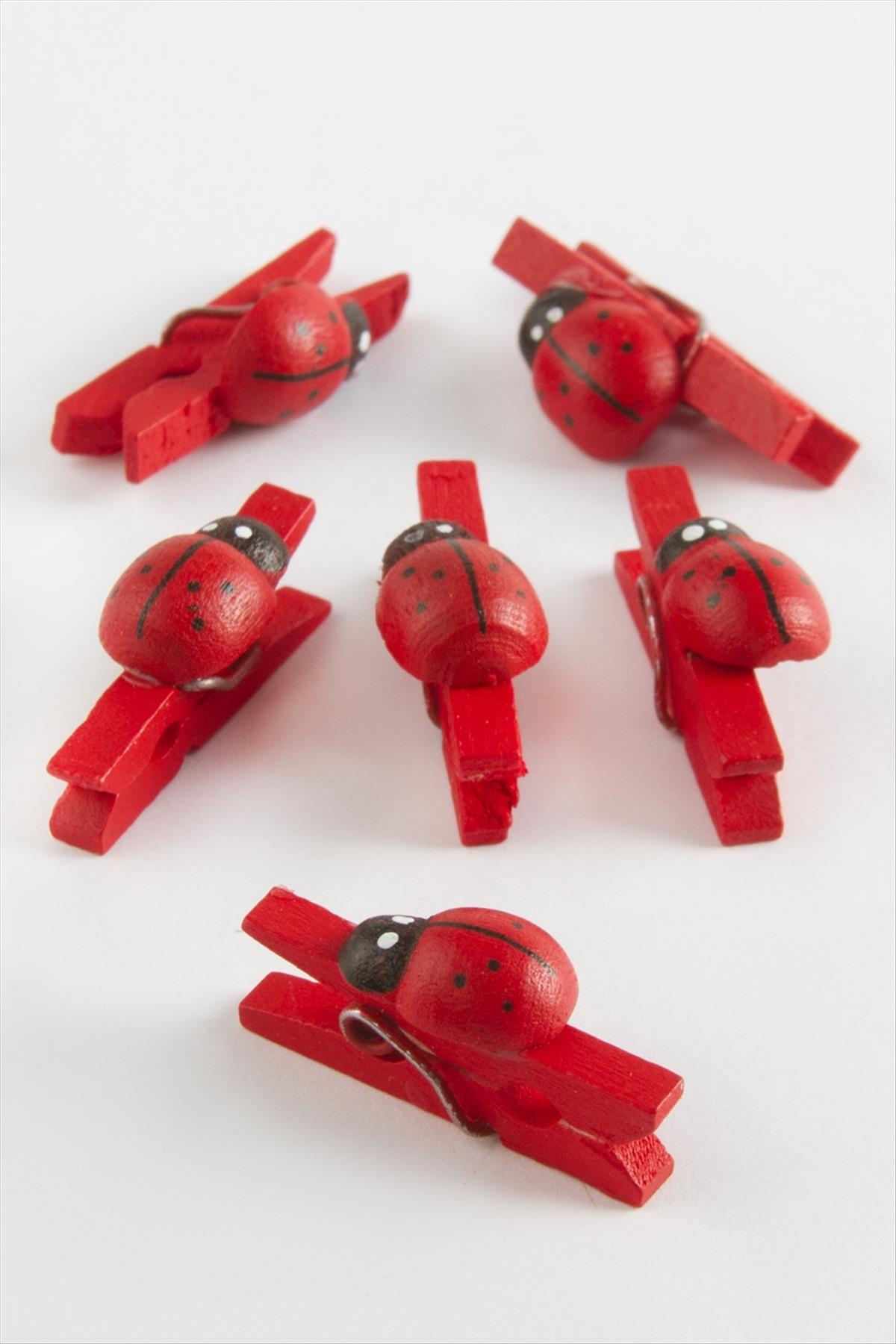 1 Adet Uğur Böceği Süs Mandal