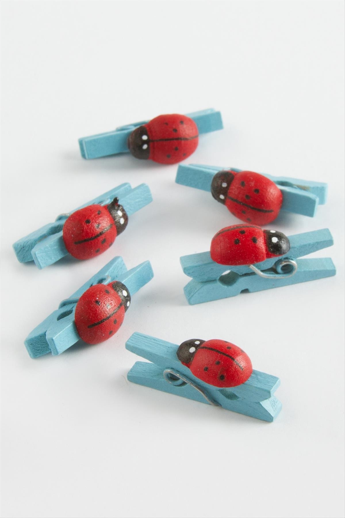 1 Adet Uğur Böceği Süs Mandal