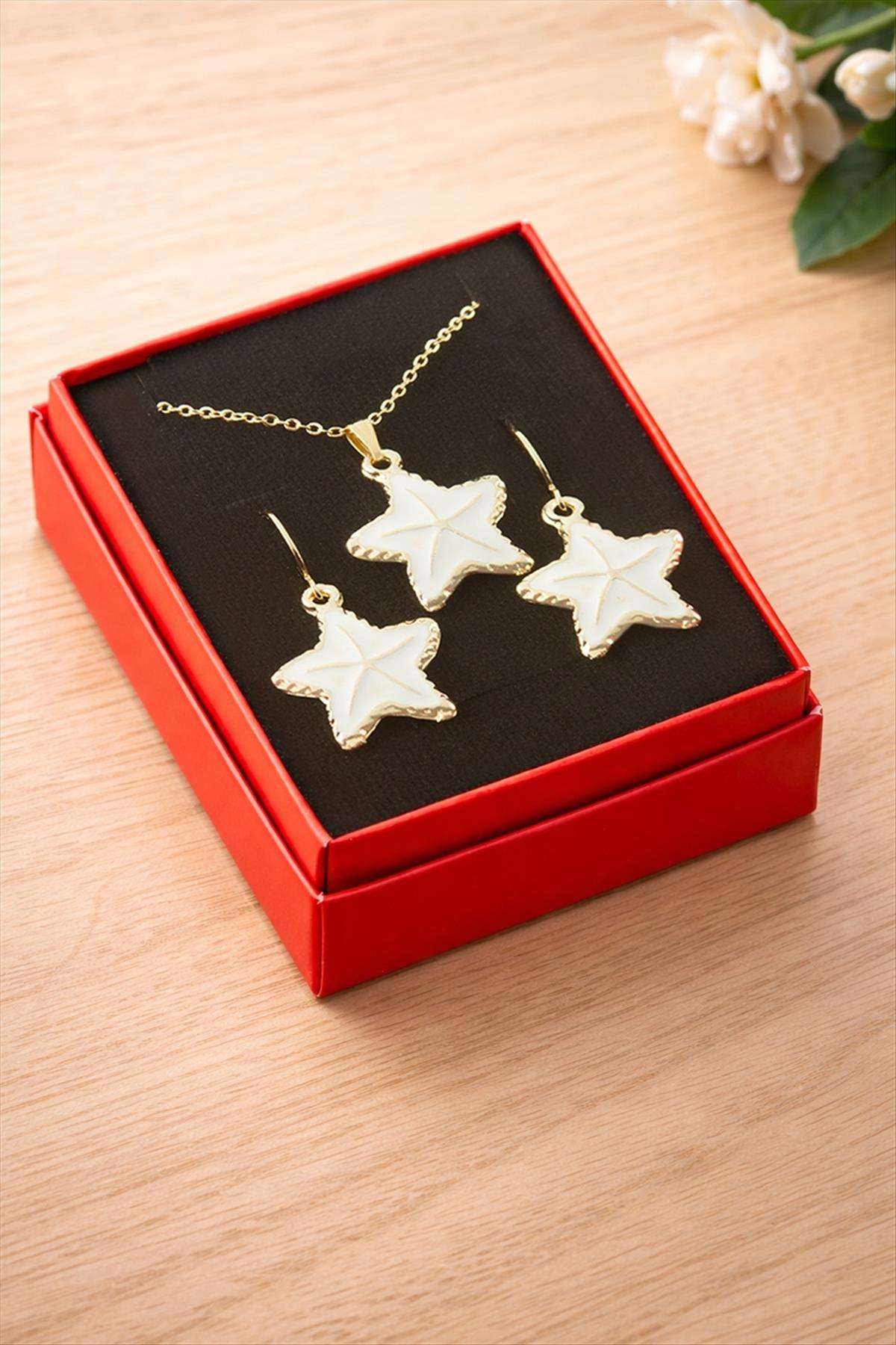 Deniz Yıldızı Mineli Kutulu Kolye Set