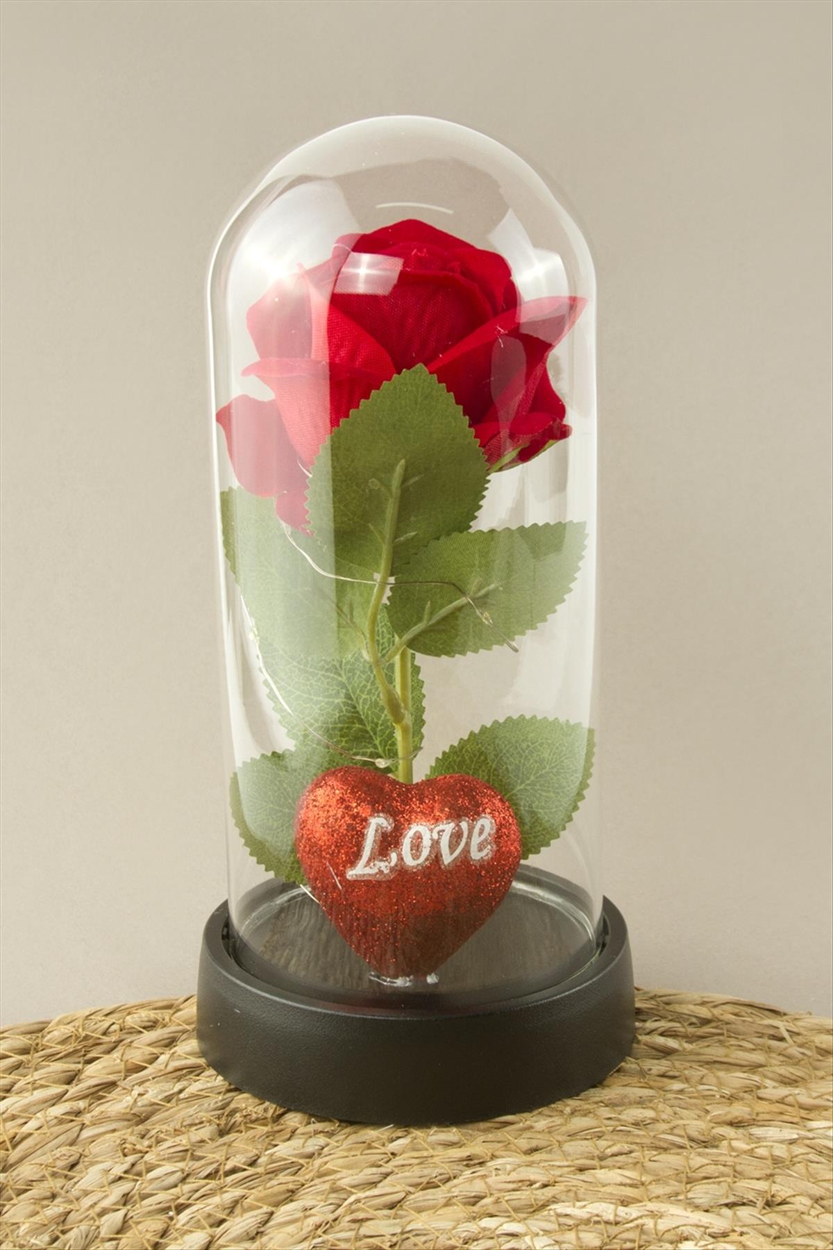 Gül Işıklı Led Fanus