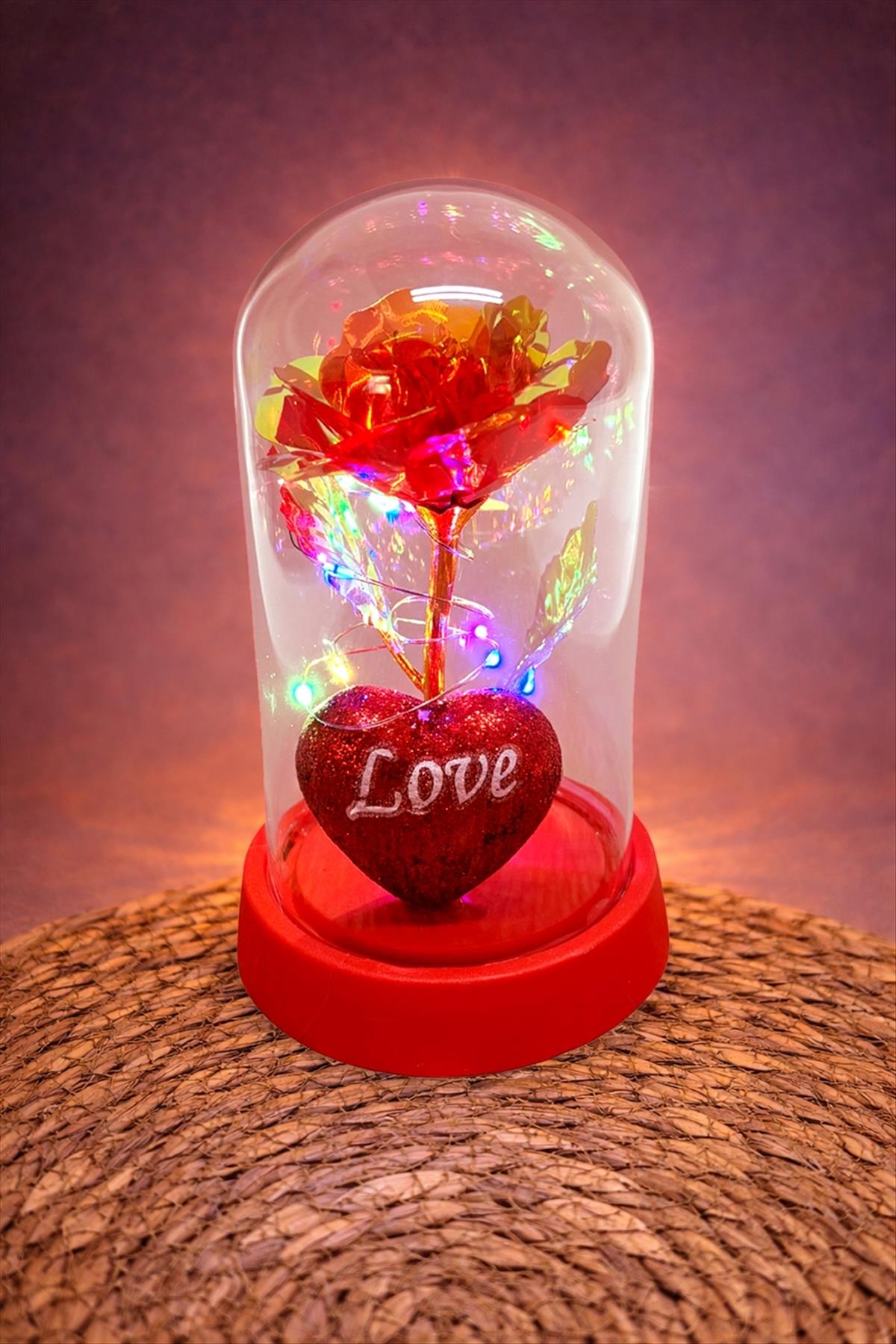 Gül Işıklı Led Fanus