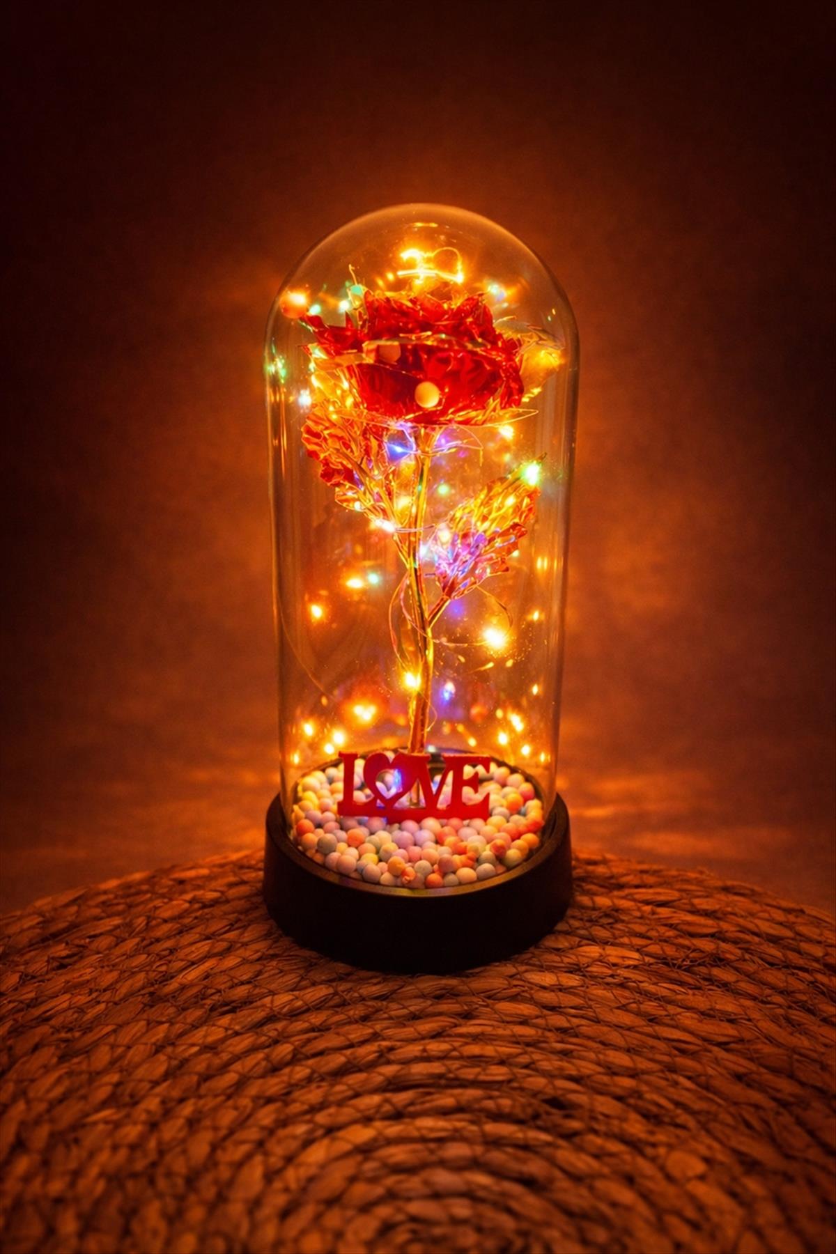 Gül Işıklı Led Fanus