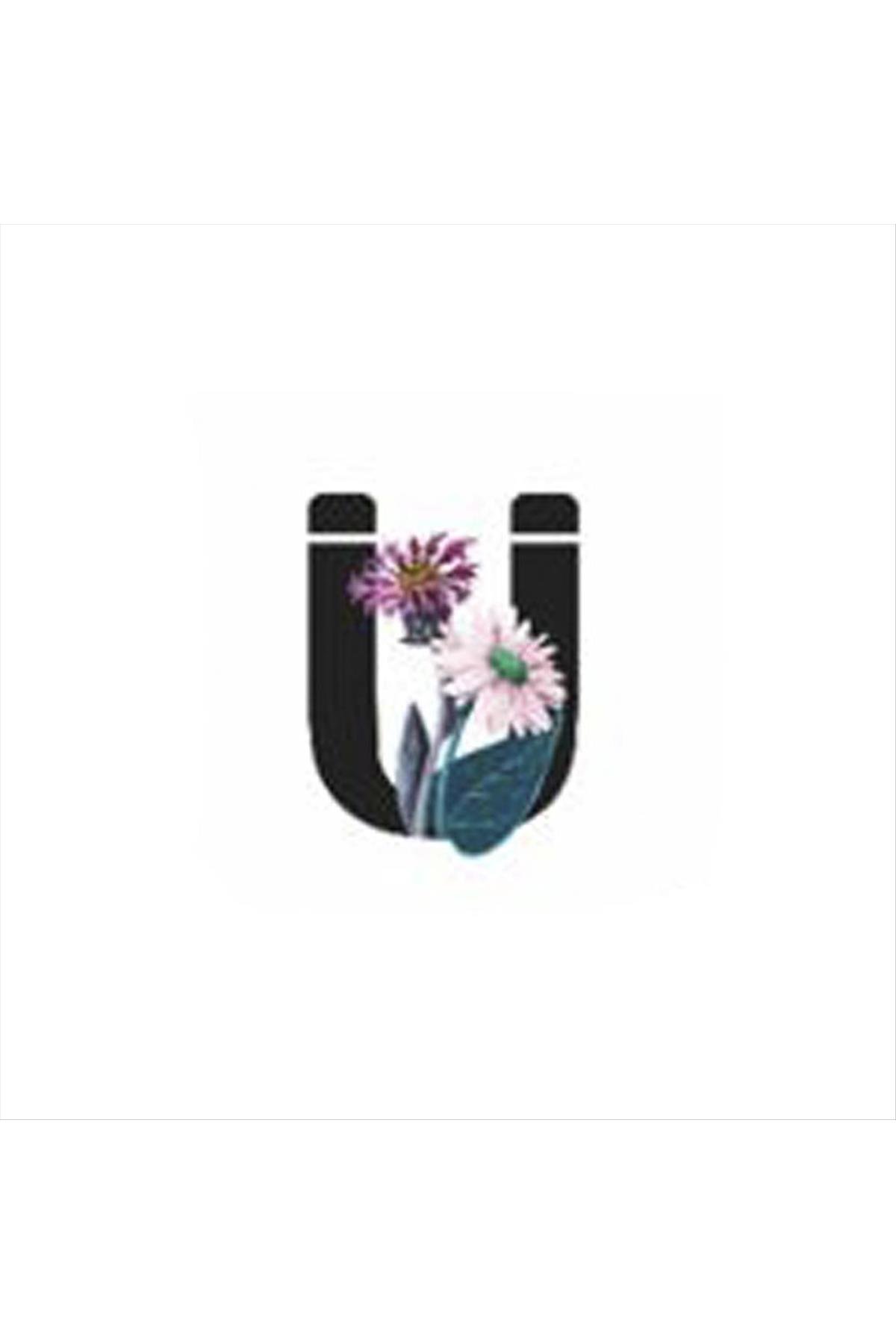 Harf Figürlü Kaktüs Sukulent Saksısı