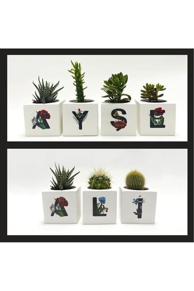 Harf Figürlü Kaktüs Sukulent Saksısı
