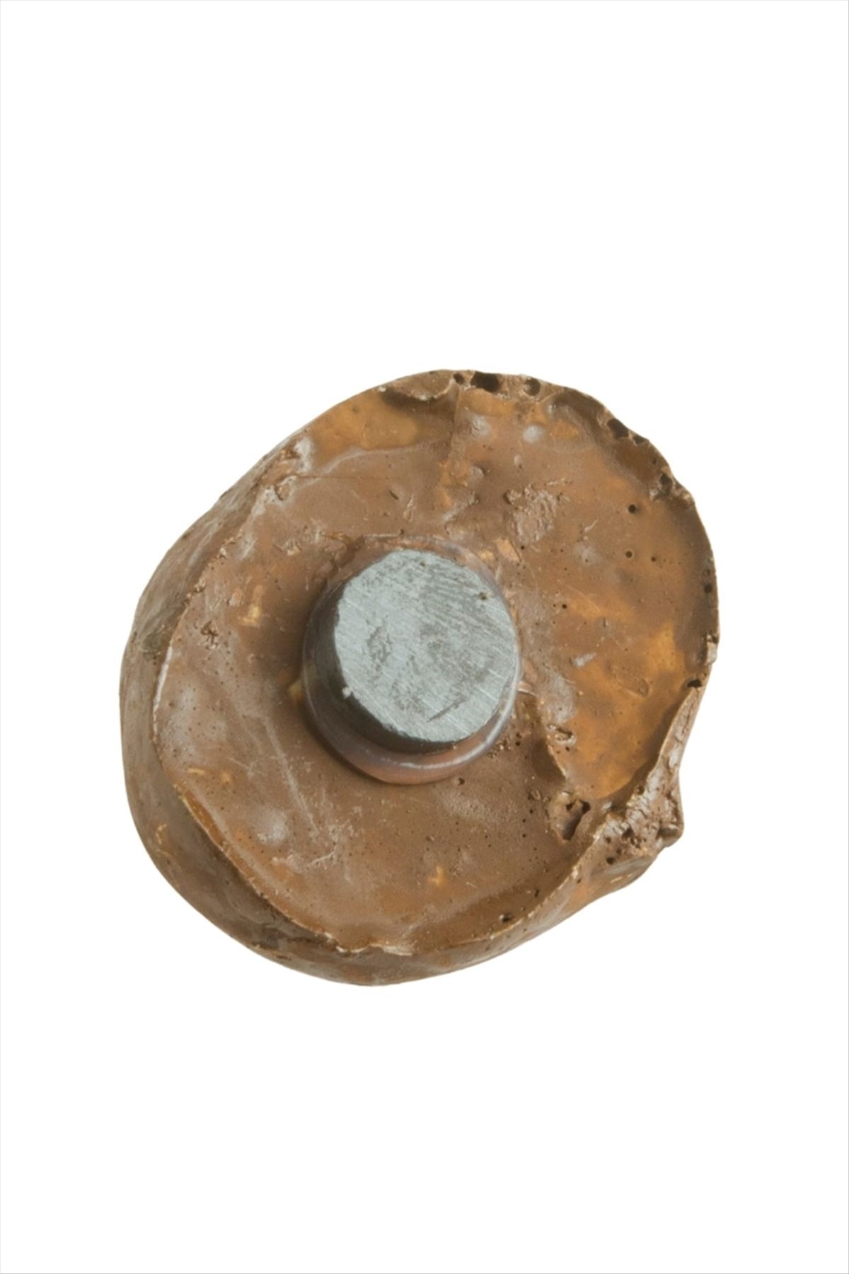Kestane Magnet