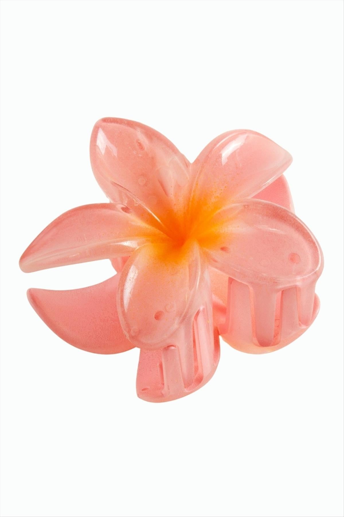 Lotus Toka 8 cm