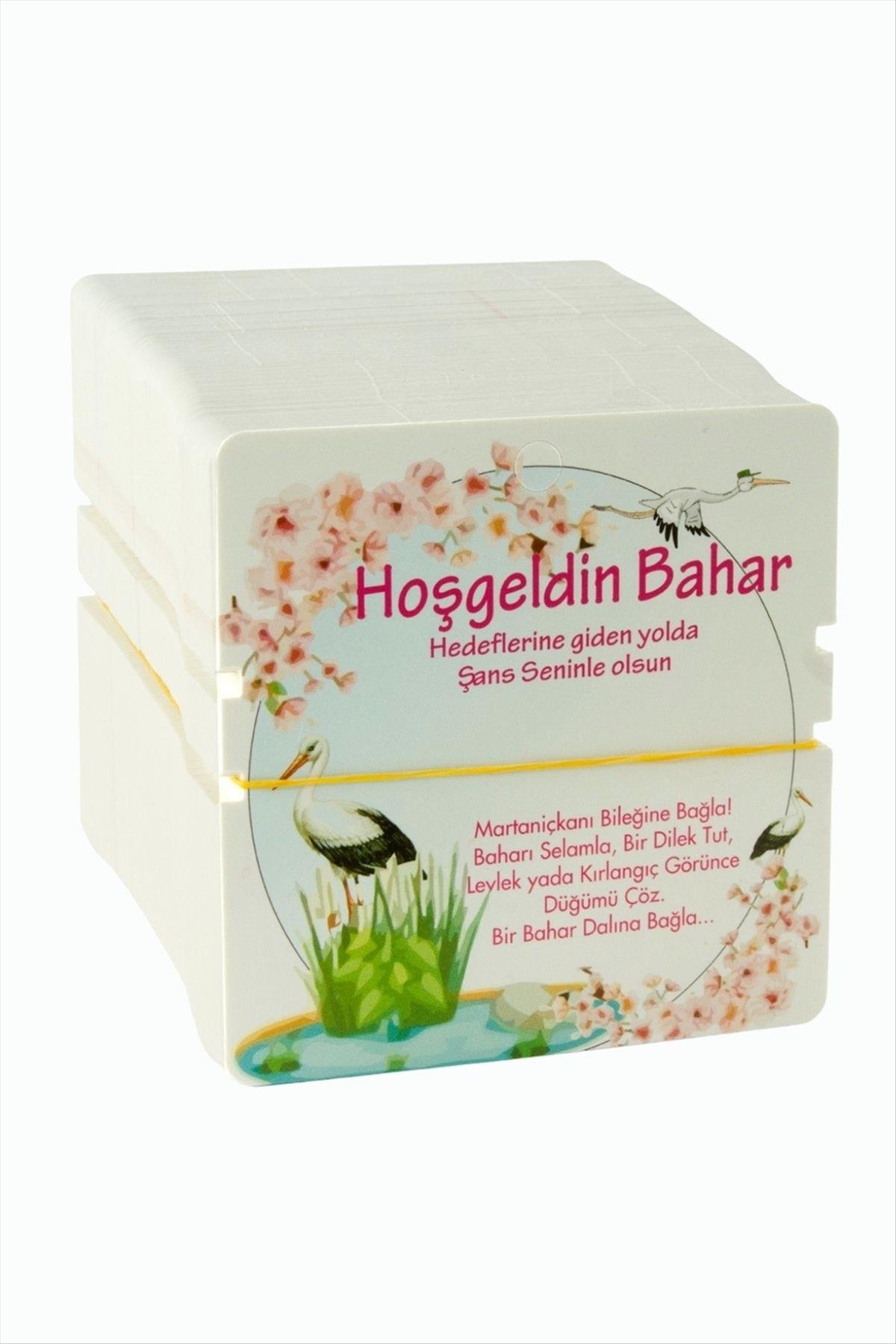 Marteniçka Bileklik Kartı