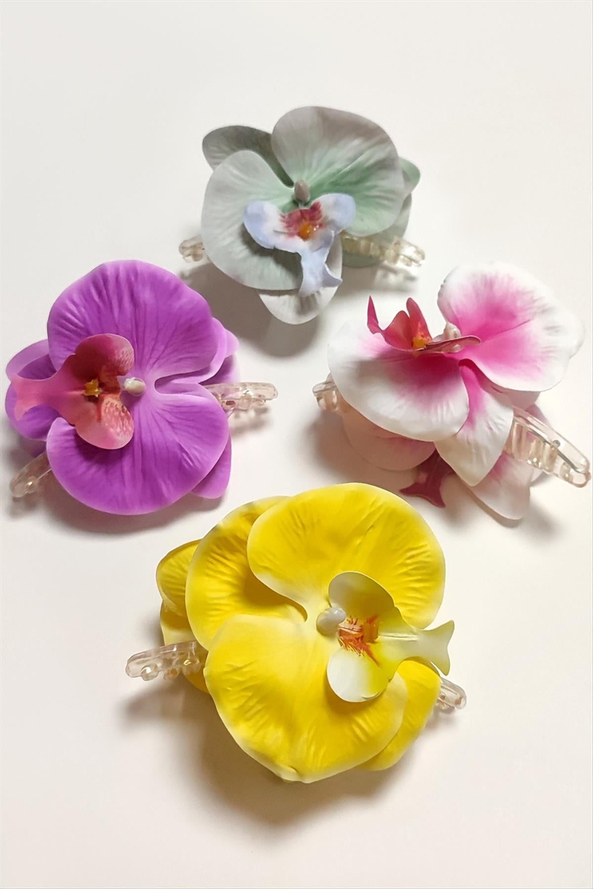 Orkide Mandal Toka 10 cm