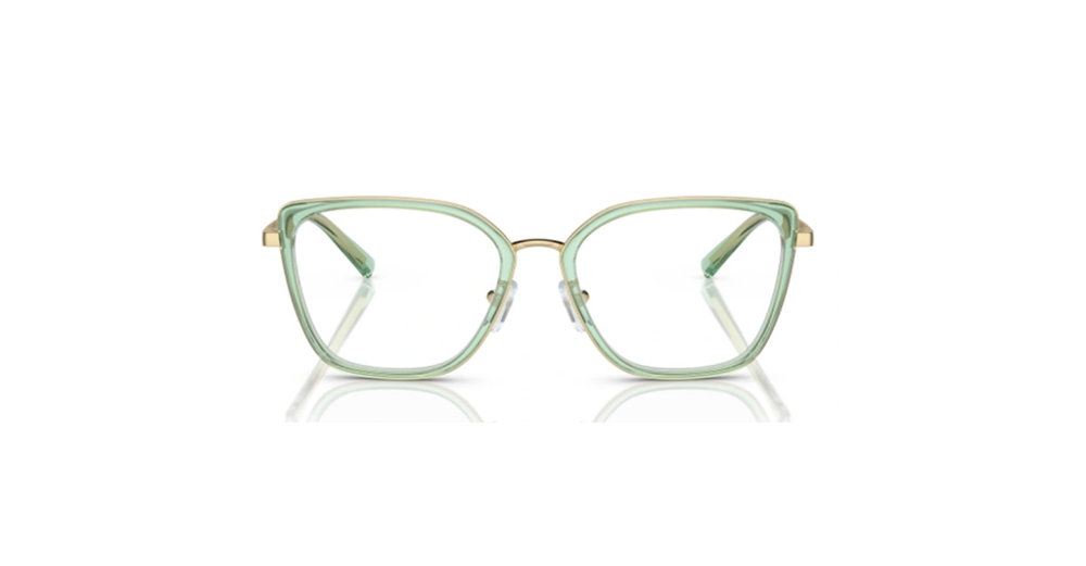 Emporio Armani 1152 3363 52 kadın Optik Gözlükler