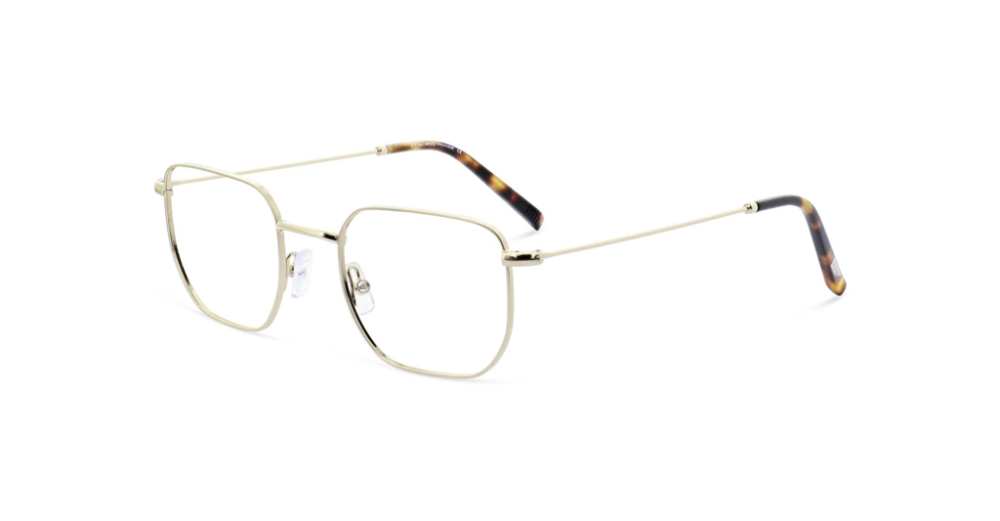 Marius Morel LTO7783L GR070 5416 Erkek Optik Gözlükler