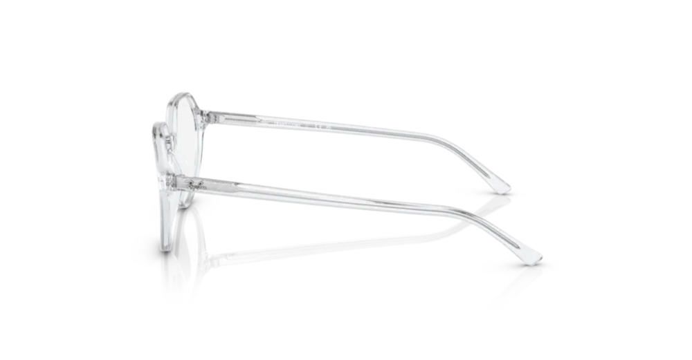 Rayban 2195 912/GG 51 Unisex Güneş Gözlükleri