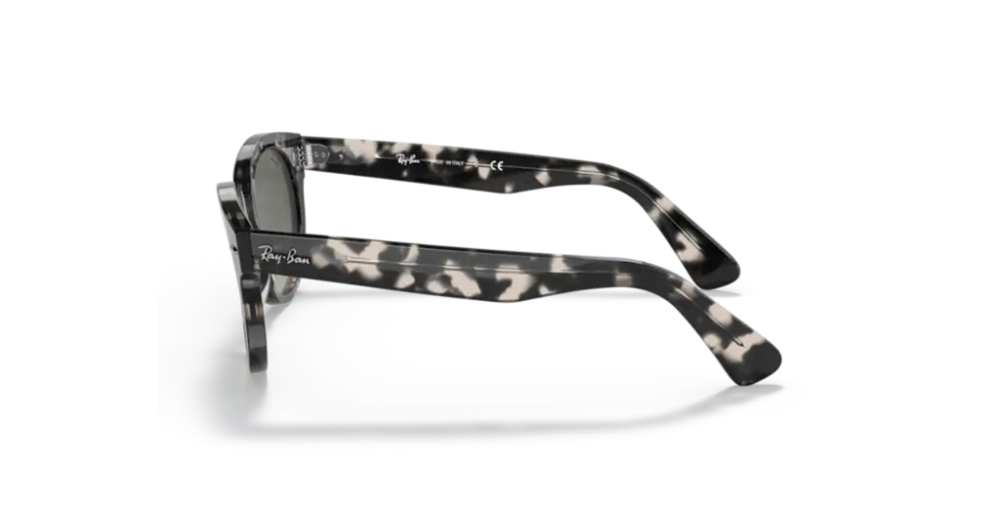 Rayban 2199 133371 52 Unisex Güneş Gözlükleri