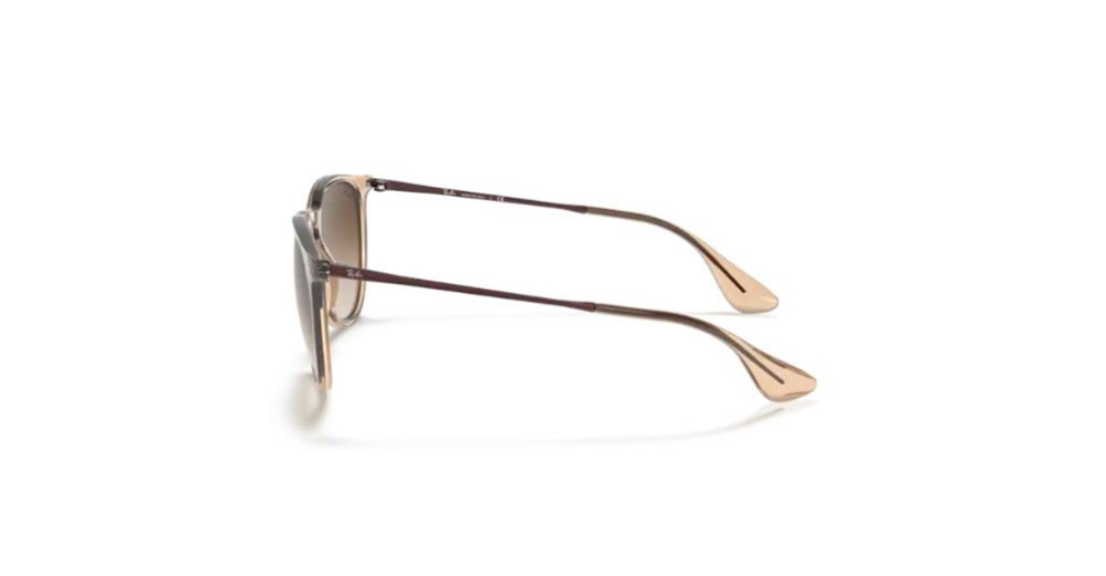 Rayban 4171 651413 54 Kadın Güneş Gözlükleri