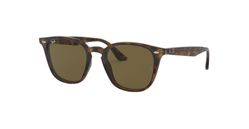 Rayban 4258 710/73 50 Unisex Güneş Gözlükleri