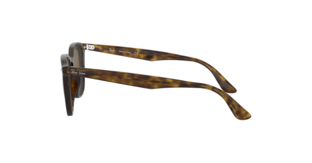 Rayban 4258 710/73 50 Unisex Güneş Gözlükleri