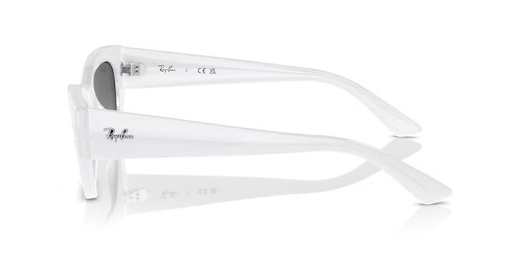 Rayban 4430 675911 52 Kadın Güneş Gözlükleri