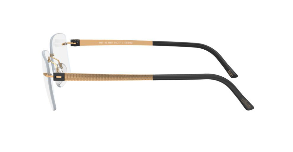 Silhouette 5450/20 6051 55-21 kadın Optik Gözlükler