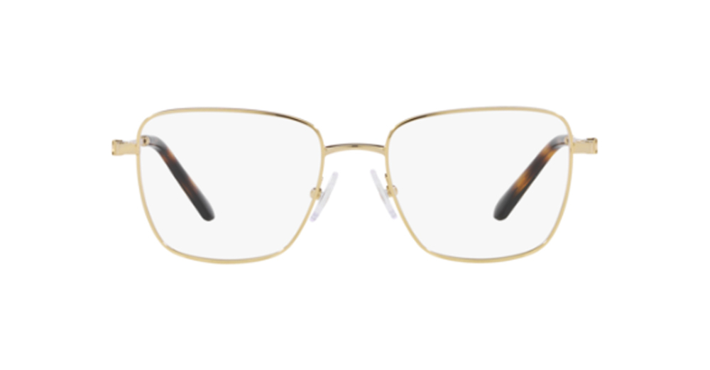 Swarovski 1003 4013 53 kadın Optik Gözlükler