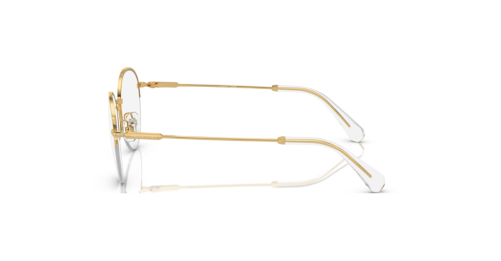 Swarovski 1004 4004 49 kadın Optik Gözlükler