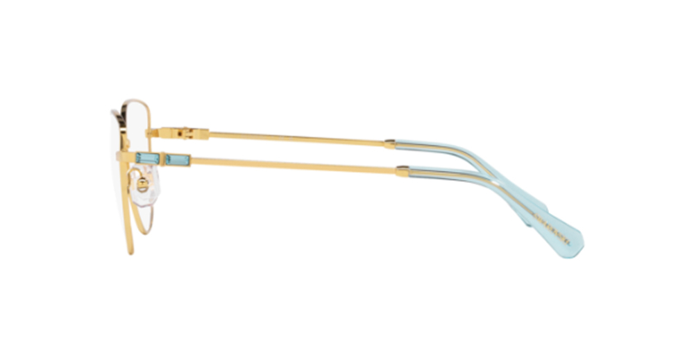 Swarovski 1007 4021 55 kadın Optik Gözlükler