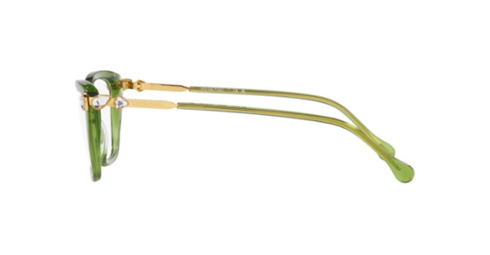 Swarovski 2011 3002 55 kadın Optik Gözlükler