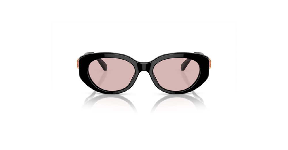 Swarovski 6002 1001/5 53 Kadın Güneş Gözlükleri