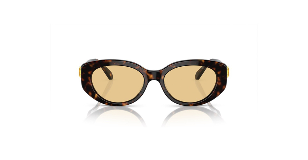 Swarovski 6002 1002/8 53 Kadın Güneş Gözlükleri