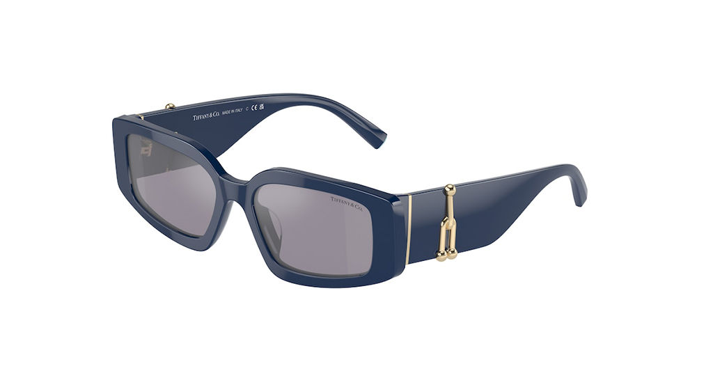 Tiffany & Co. 4208U 83852S 54 Unisex Güneş Gözlükleri