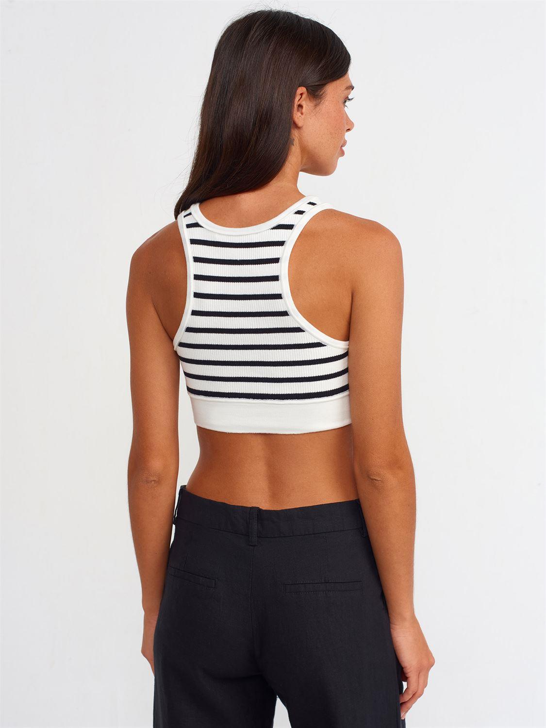 DİLVİN 10374 CROP