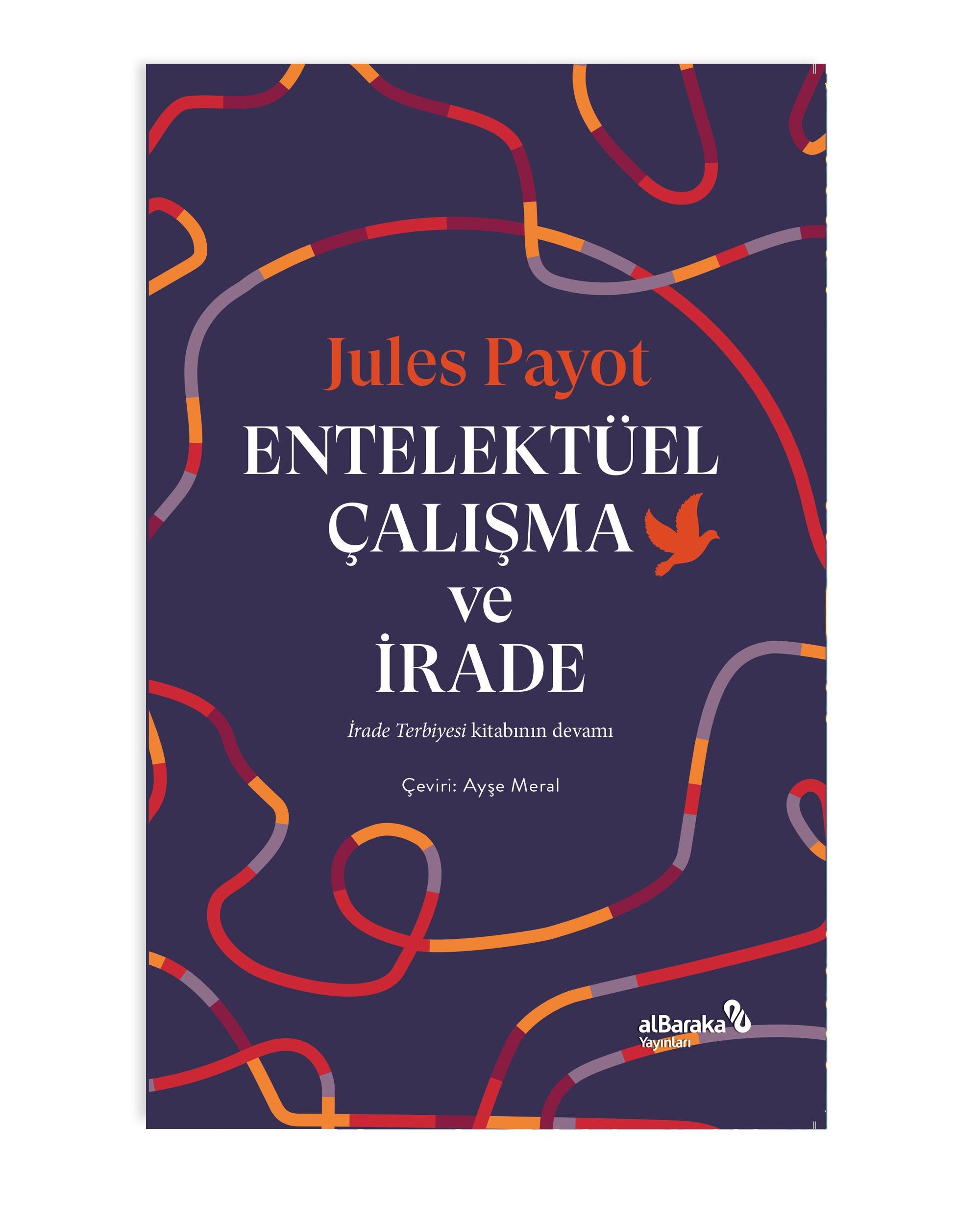 ENTELEKTÜEL ÇALIŞMA ve İRADE