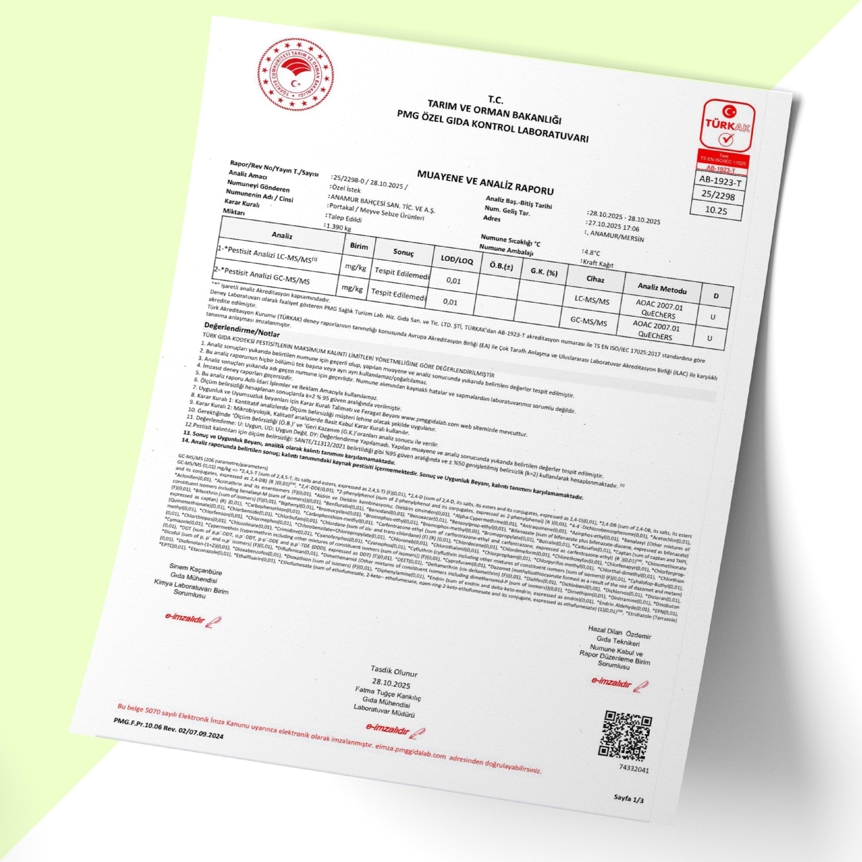 Organik Sıkmalık Portakal (10 Kg)