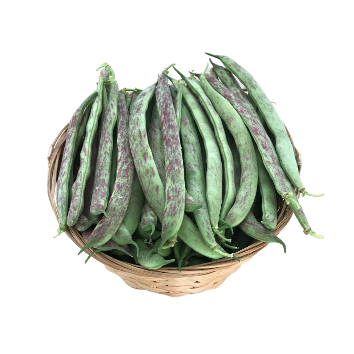 Organik Taze Fasulye (500 Gr)