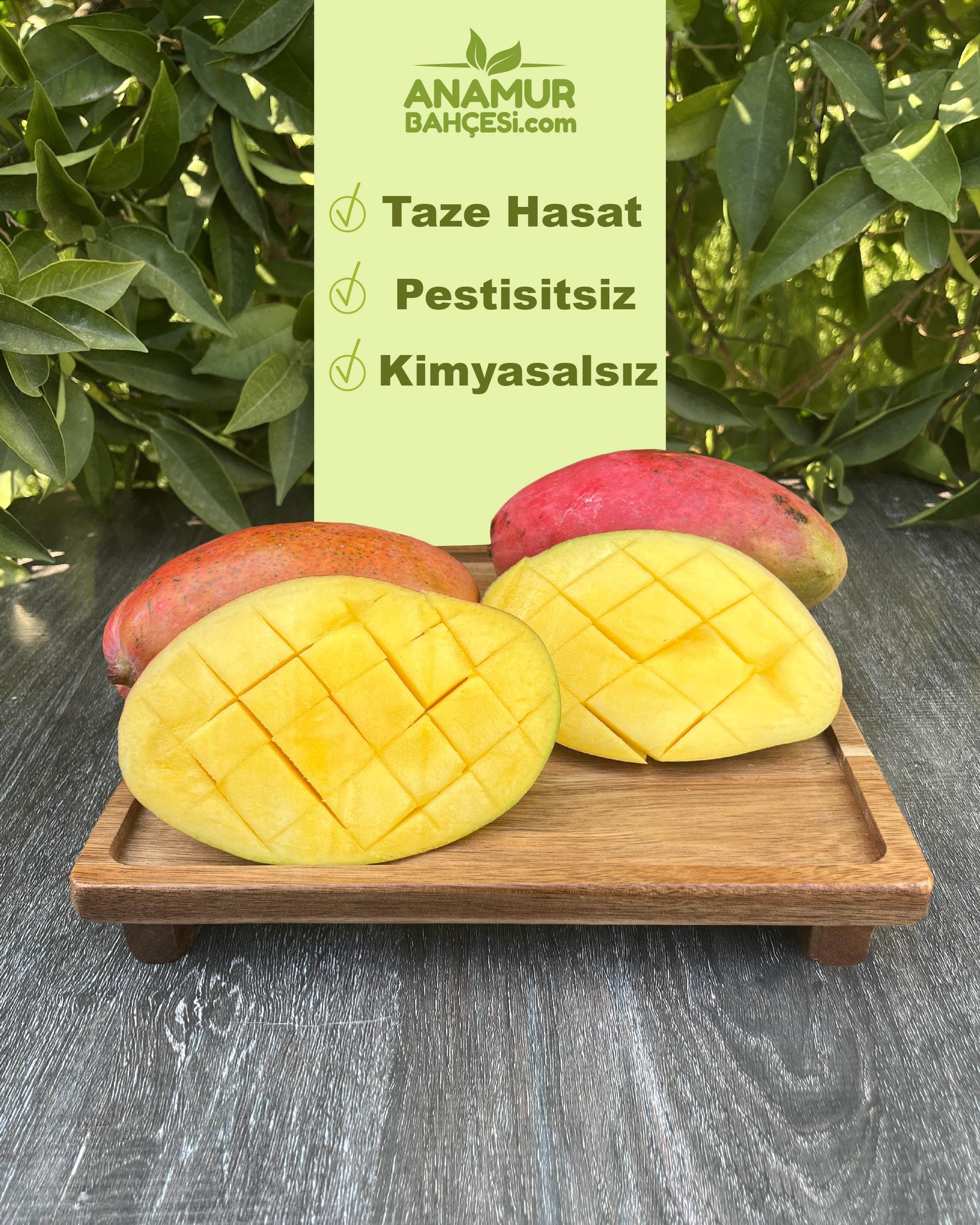Yerli Mango (1 Kg)