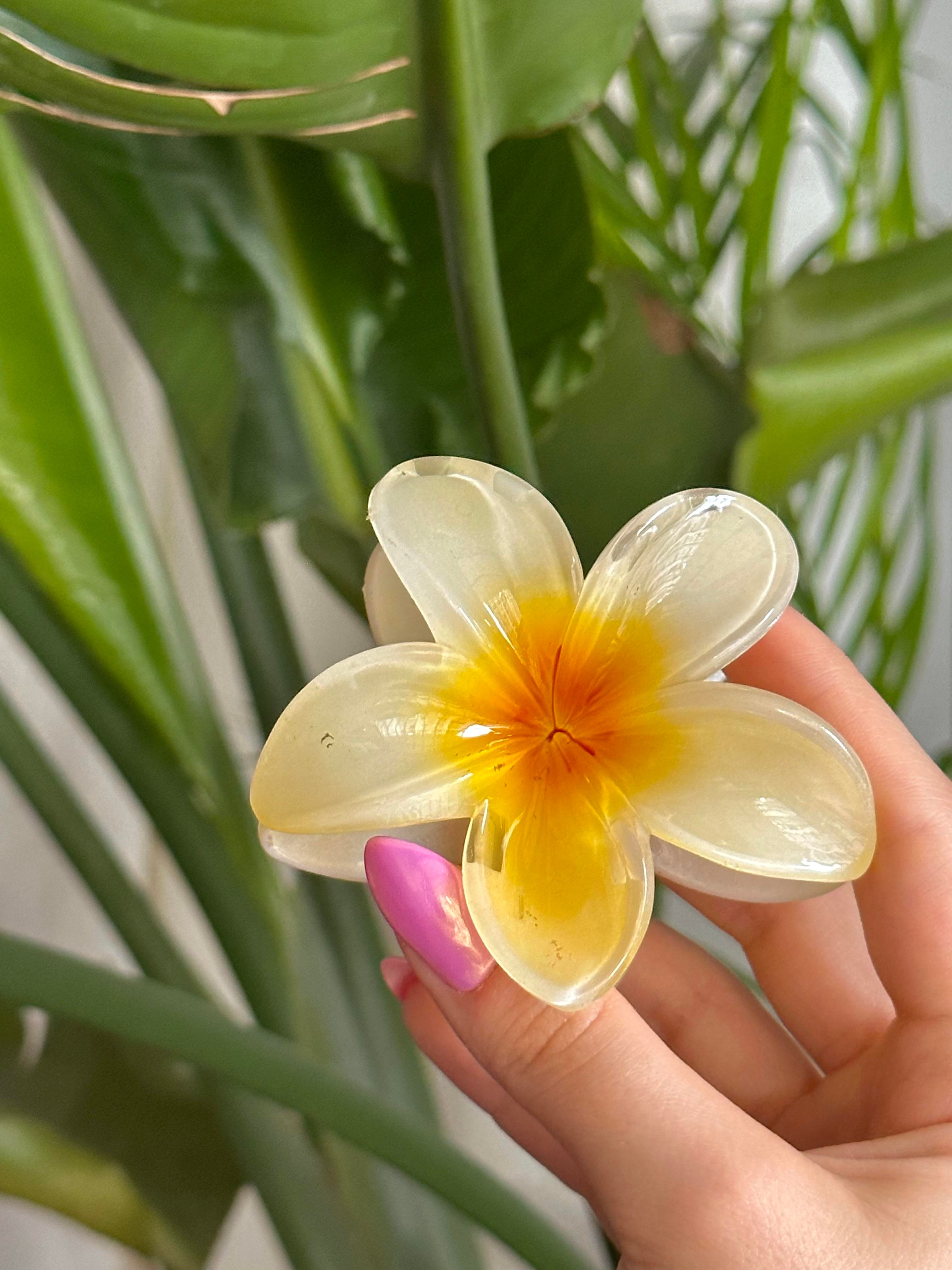 Coconut Girl Çiçek Toka (8cm)