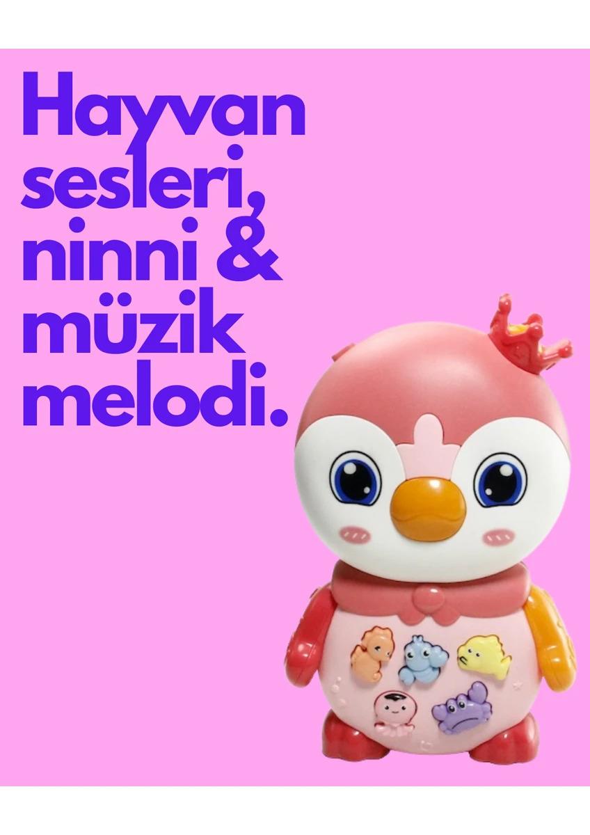 VardemIşıklı ve Müzikli Kutulu Penguen Bebek Piyanosu