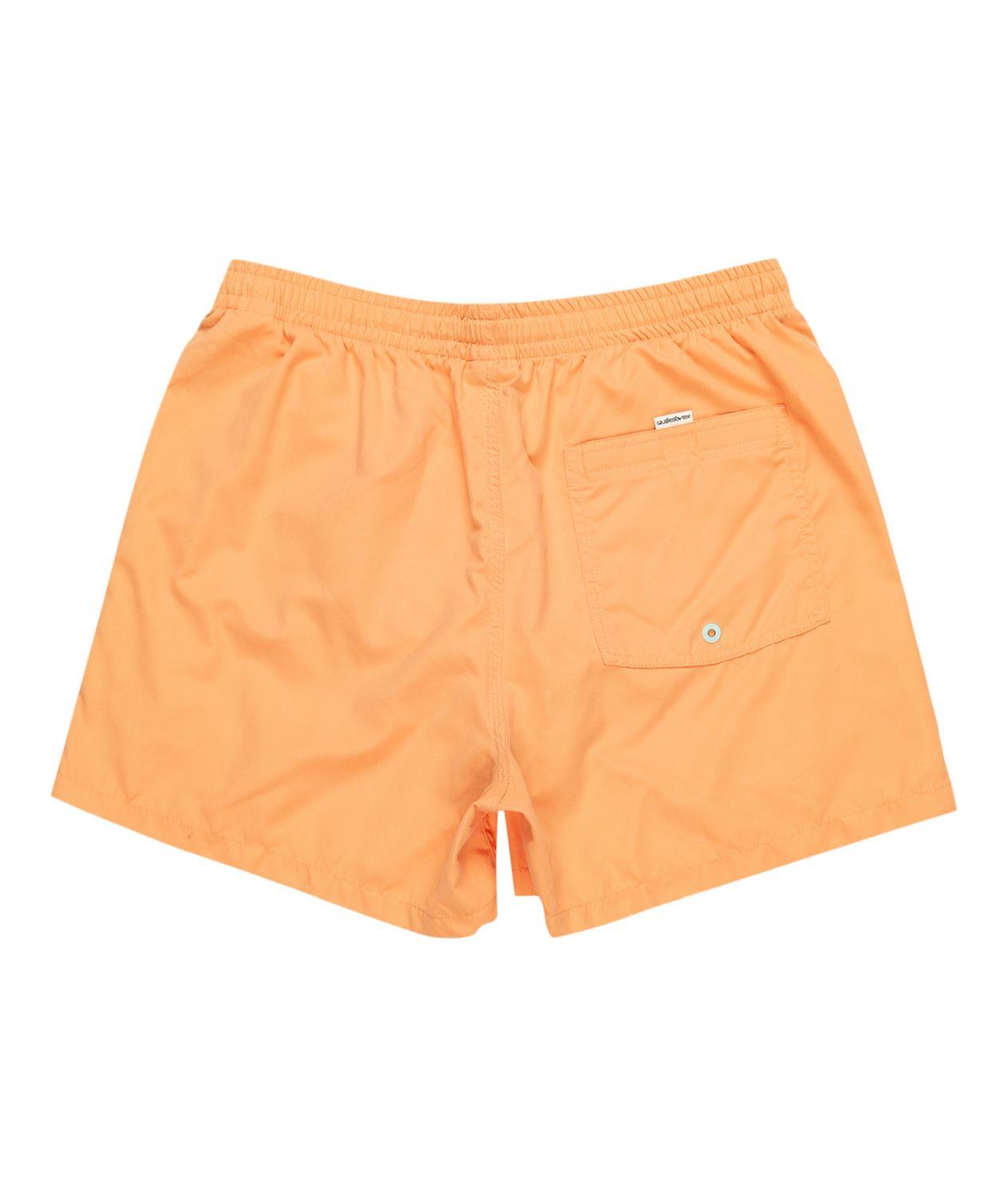 Quıksılver BEHIND WAVES Erkek Şort EQYJV04061-QK.NJF0