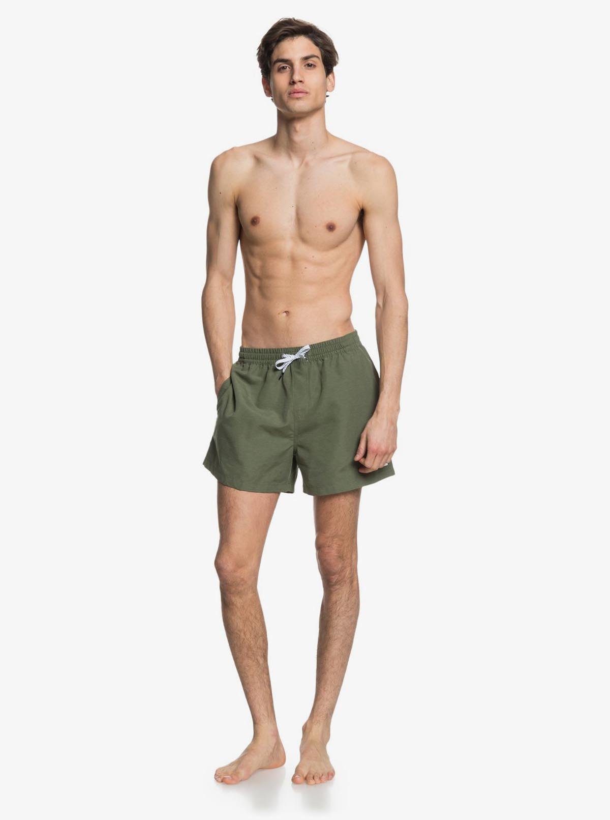 Quıksılver EVERYDAY 15 M JAMV Erkek Şort EQYJV03531-GPHH