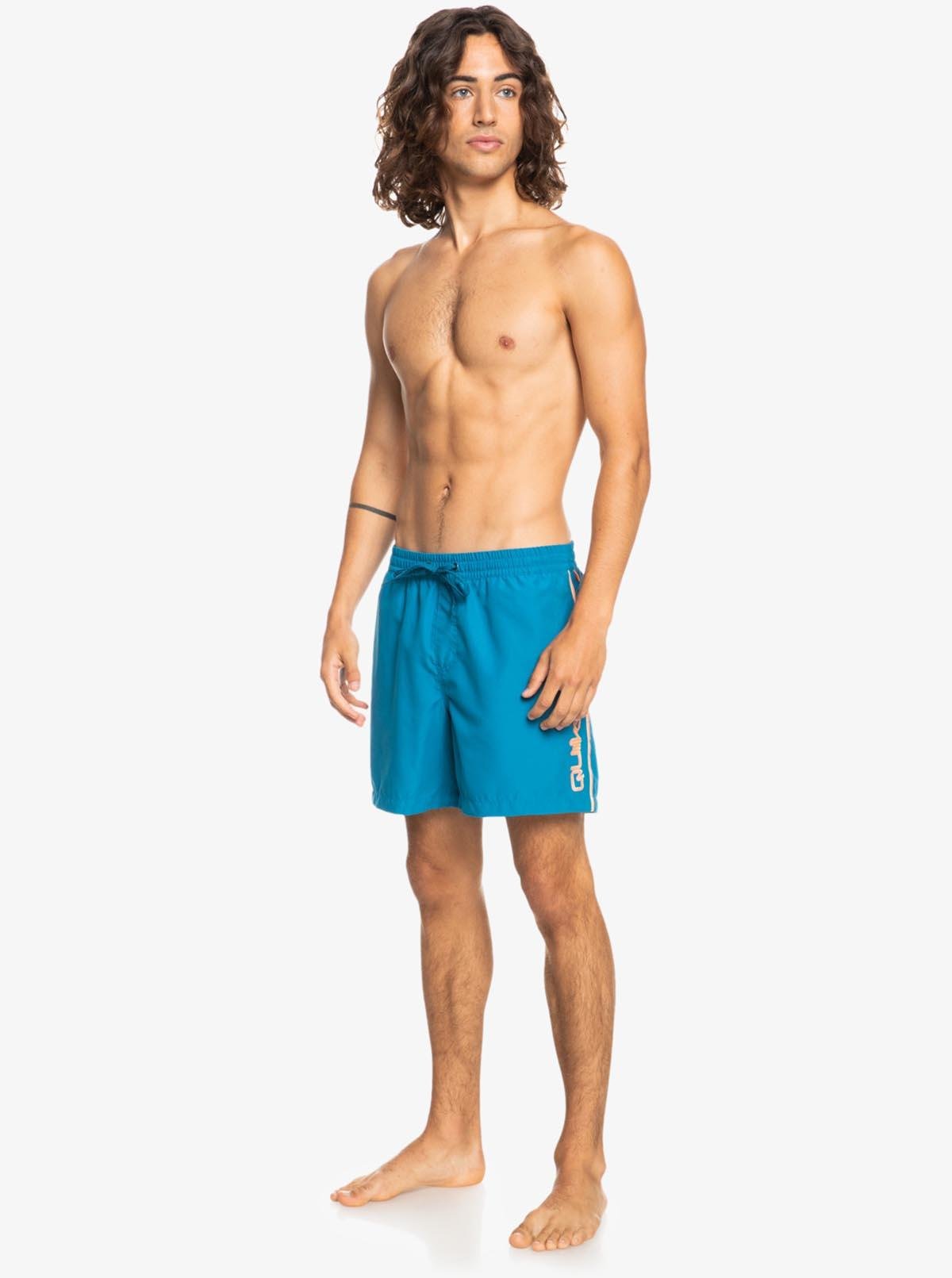 Quiksilver EVERYDAY VERT VOLLEY 16 Erkek Şort EQYJV03883-BRN0