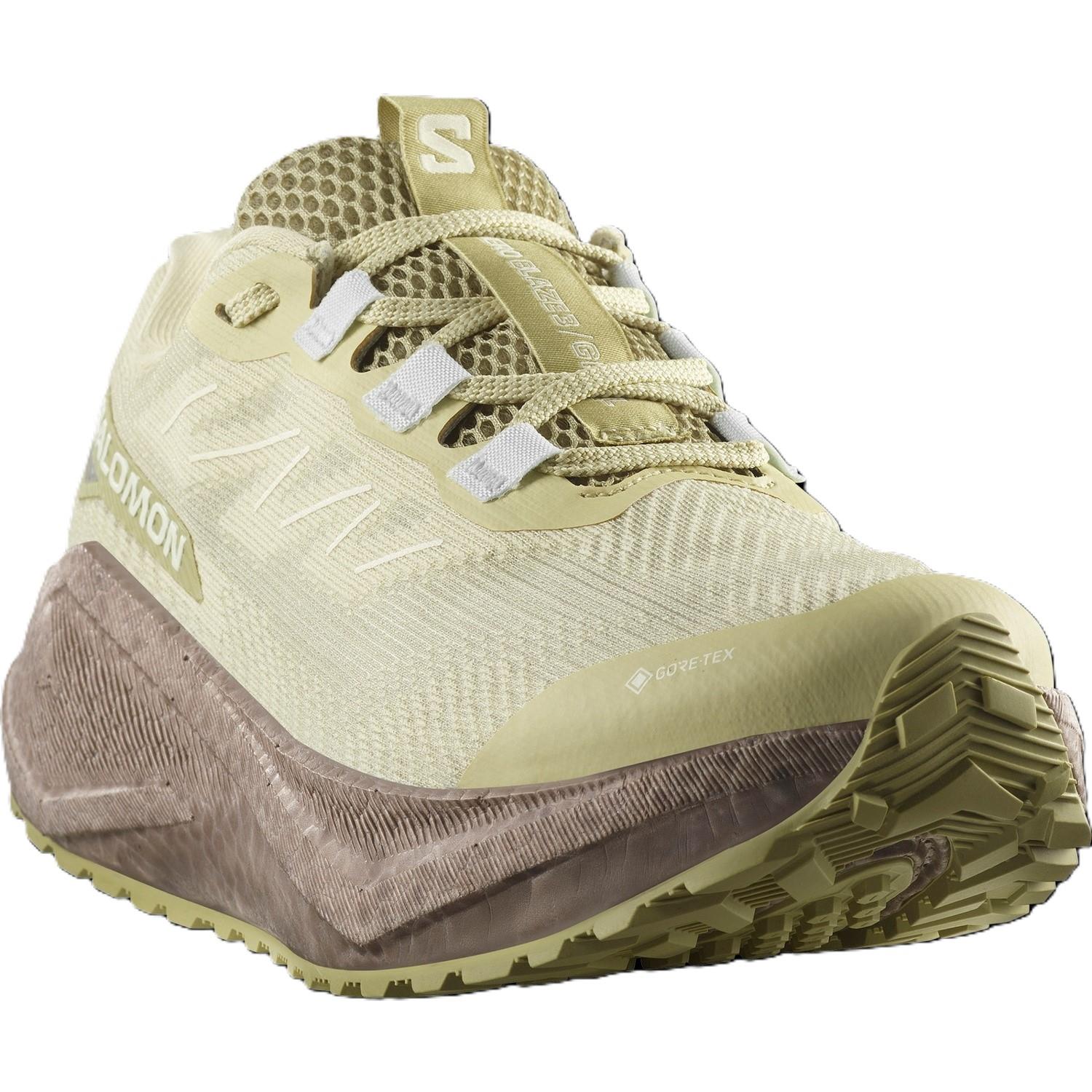 Salomon AERO BLAZE 3 GRVL Kadın Ayakkabısı L47978400