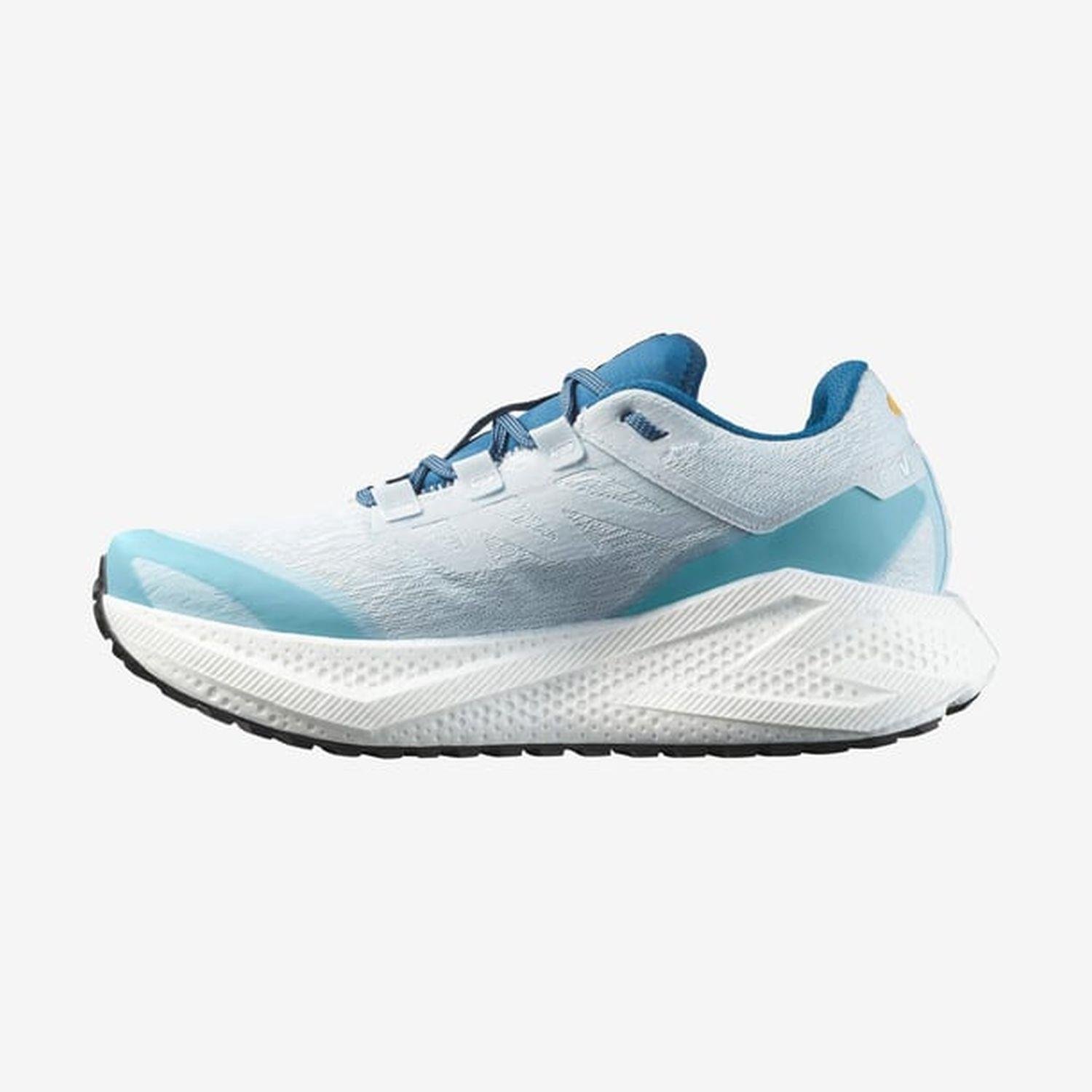 Salomon AERO GLIDE 3 GRVL Erkek Koşu Ayakkabısı L47811800