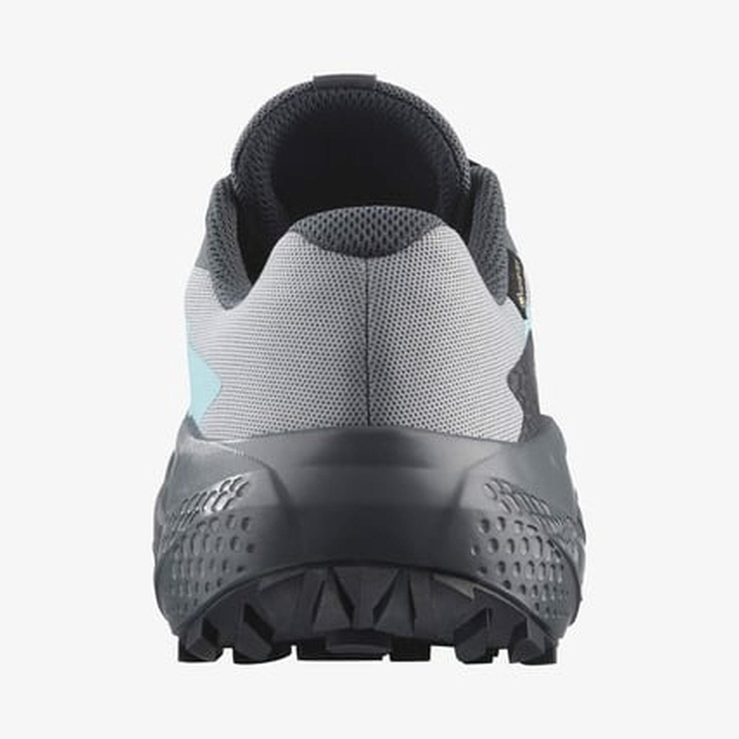 Salomon ALPHAGLIDE GORE-TEX Kadın Ayakkabısı L47802300